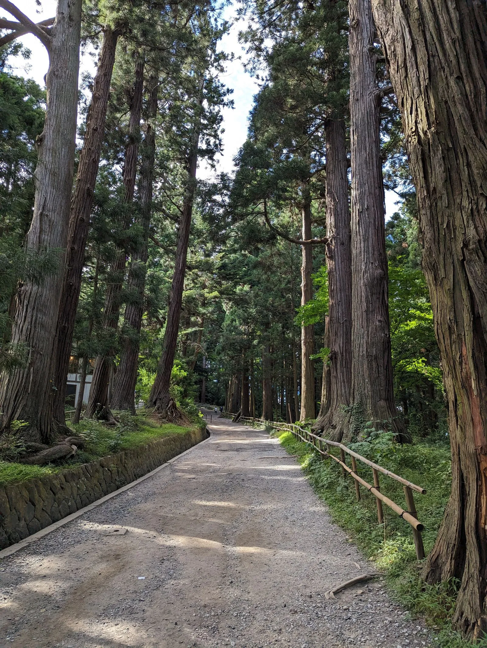 中尊寺への道