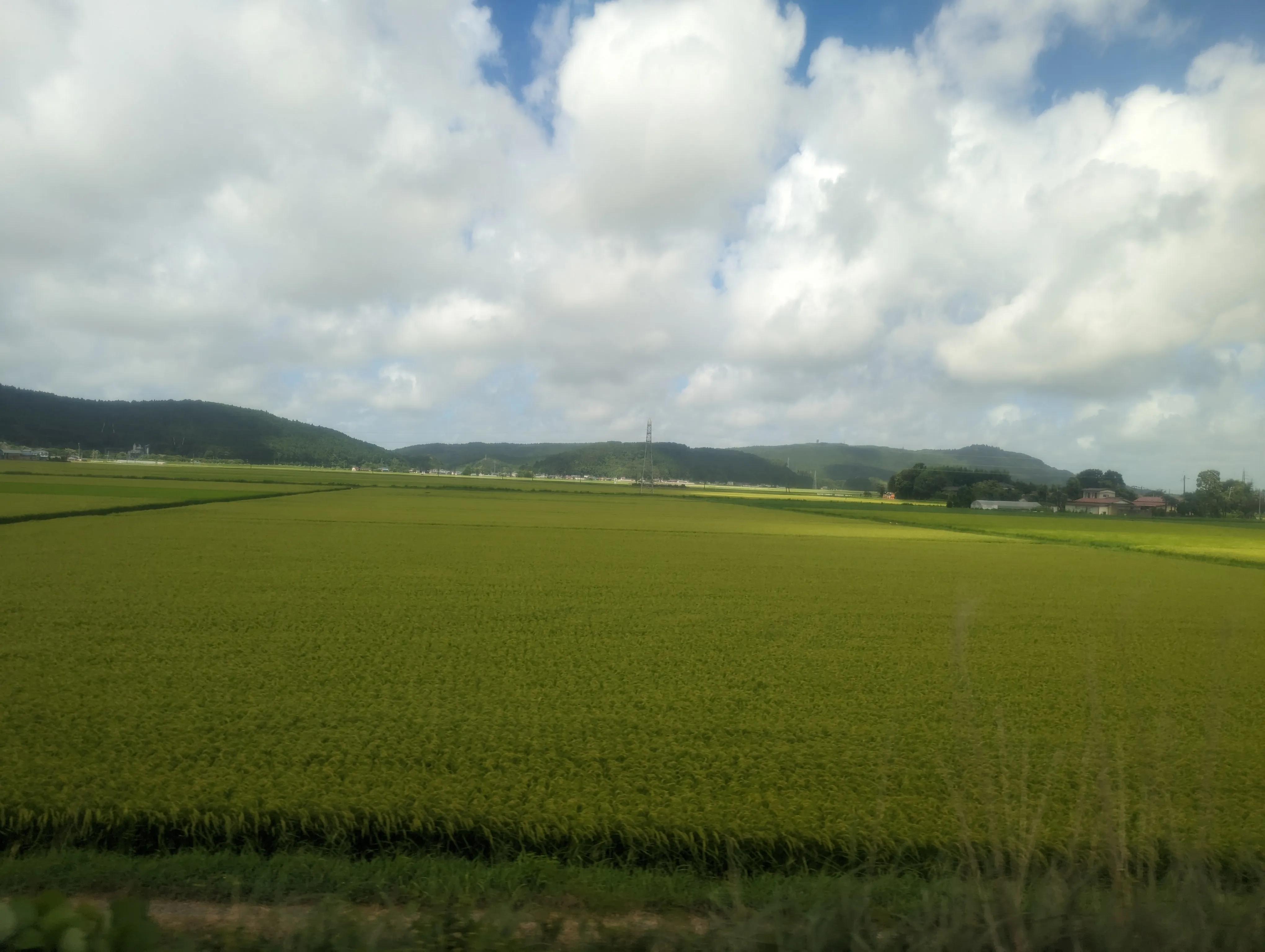 田舎の風景