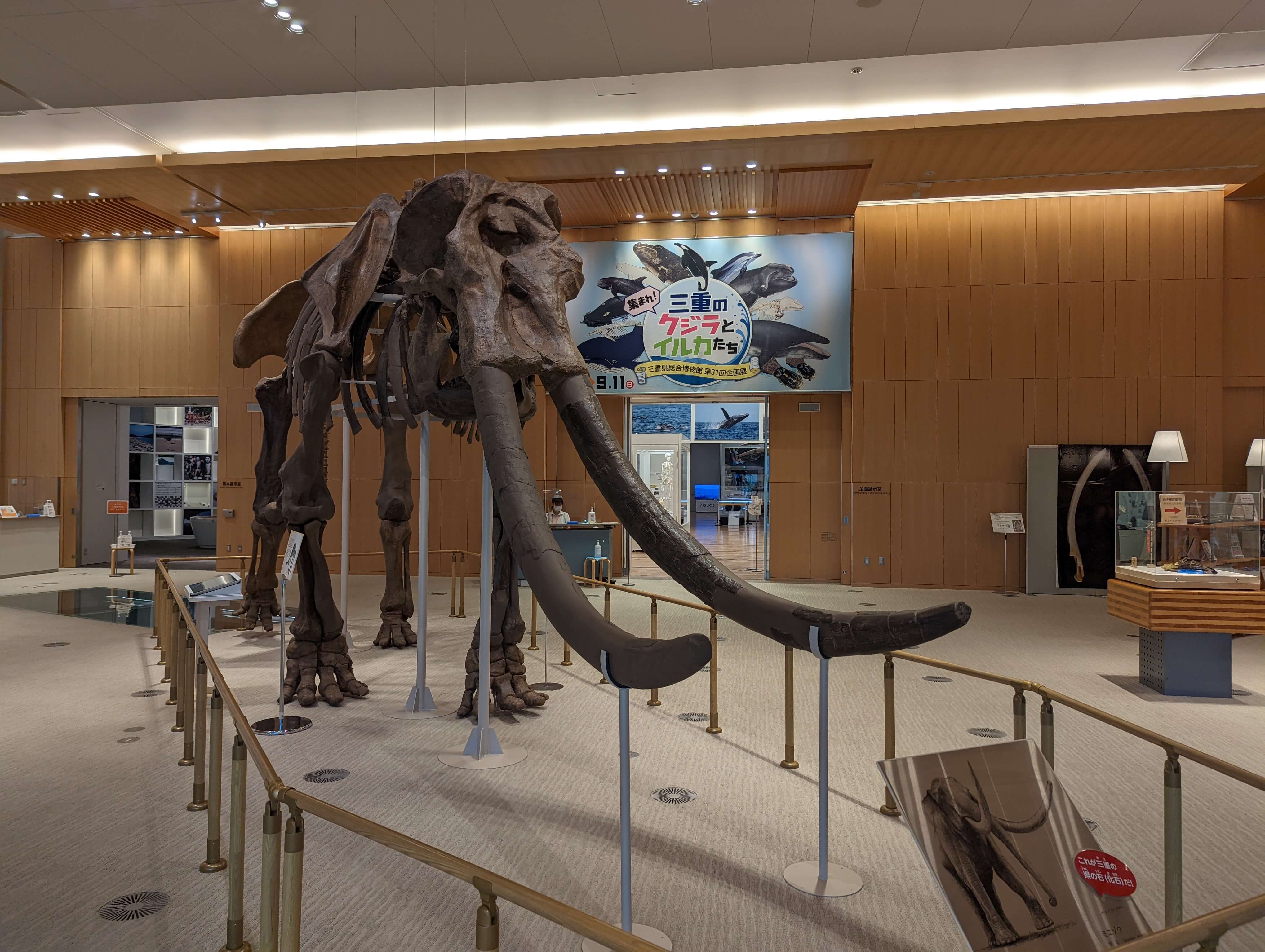 Mie Museum