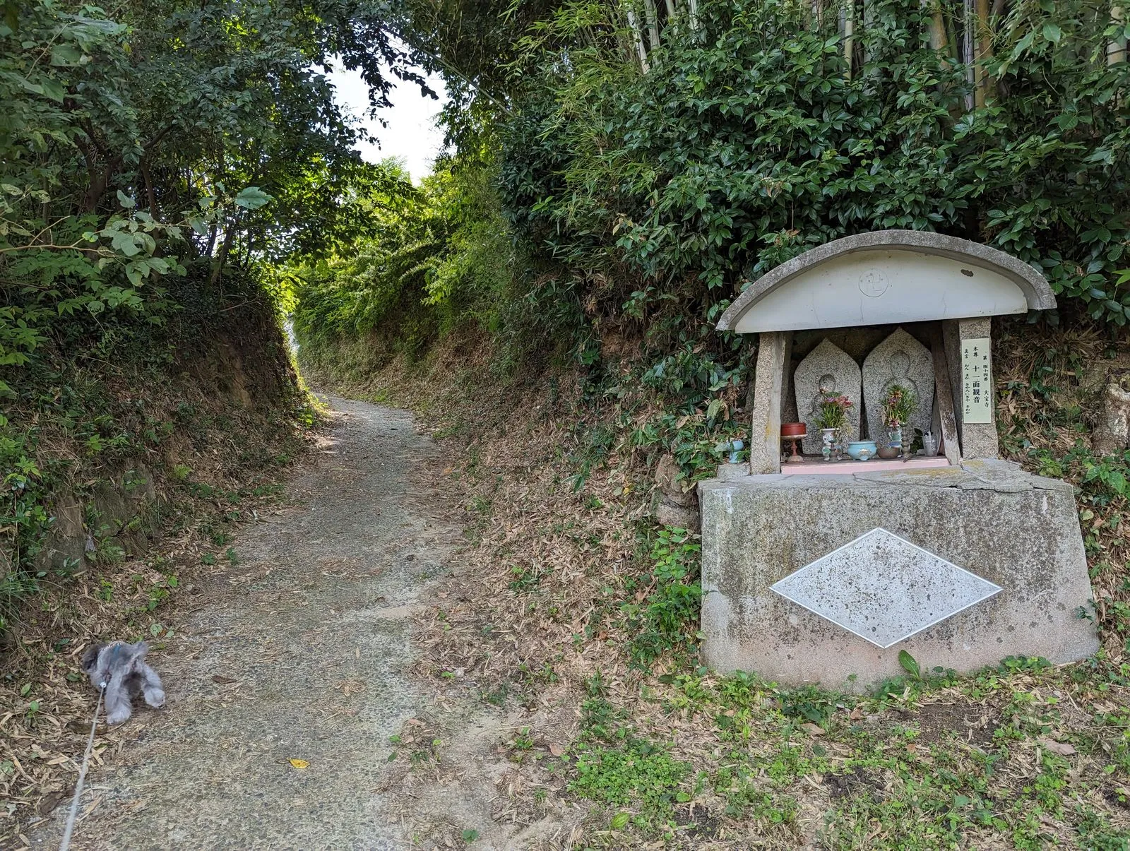 祖母の家へ向かう小道