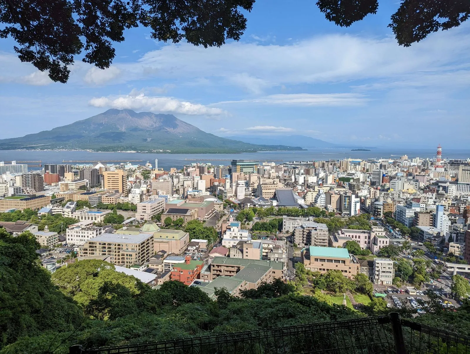 城山からの桜島