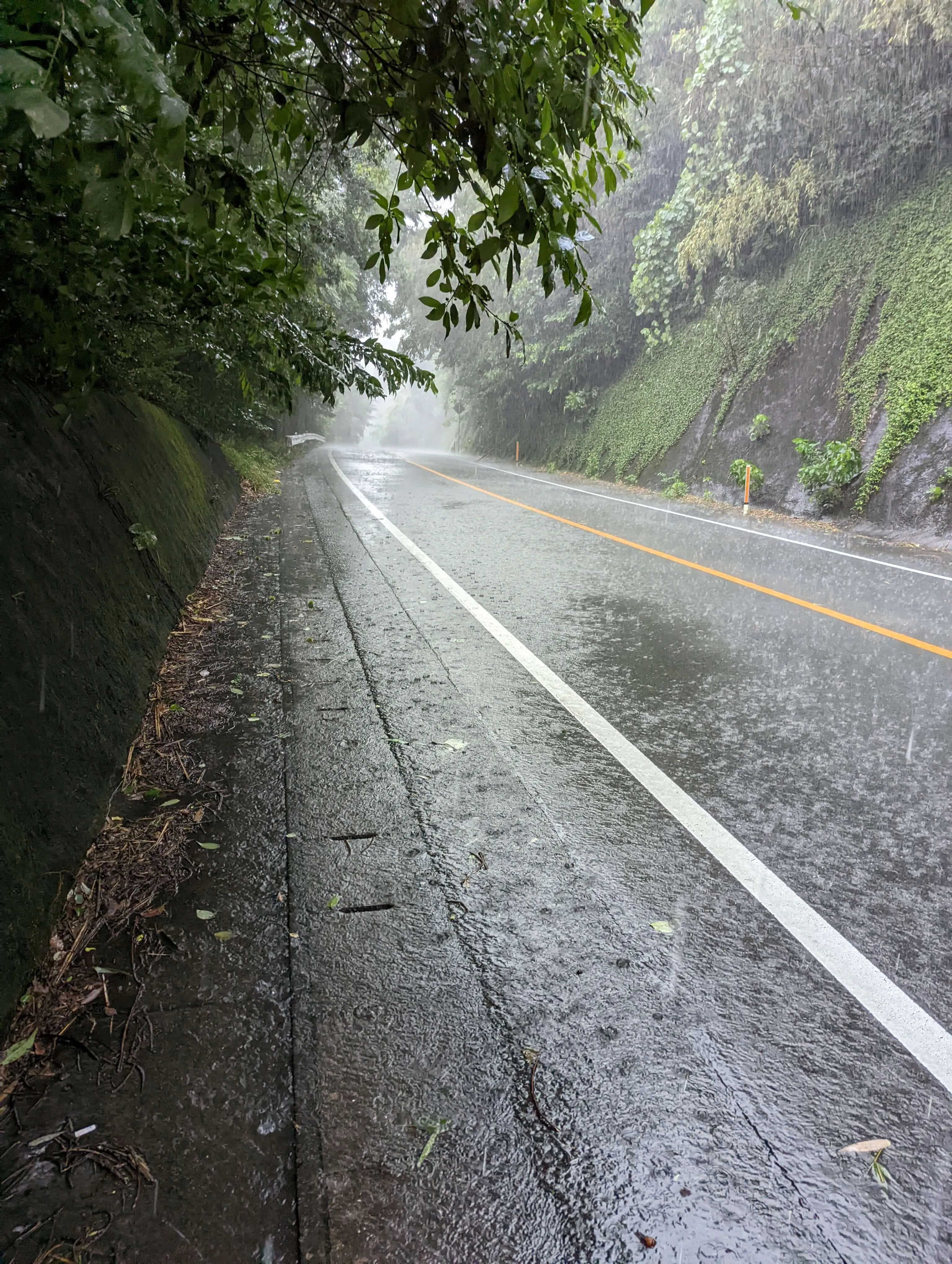 雨の中の田原坂