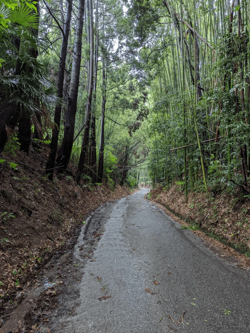 田原坂の凹道