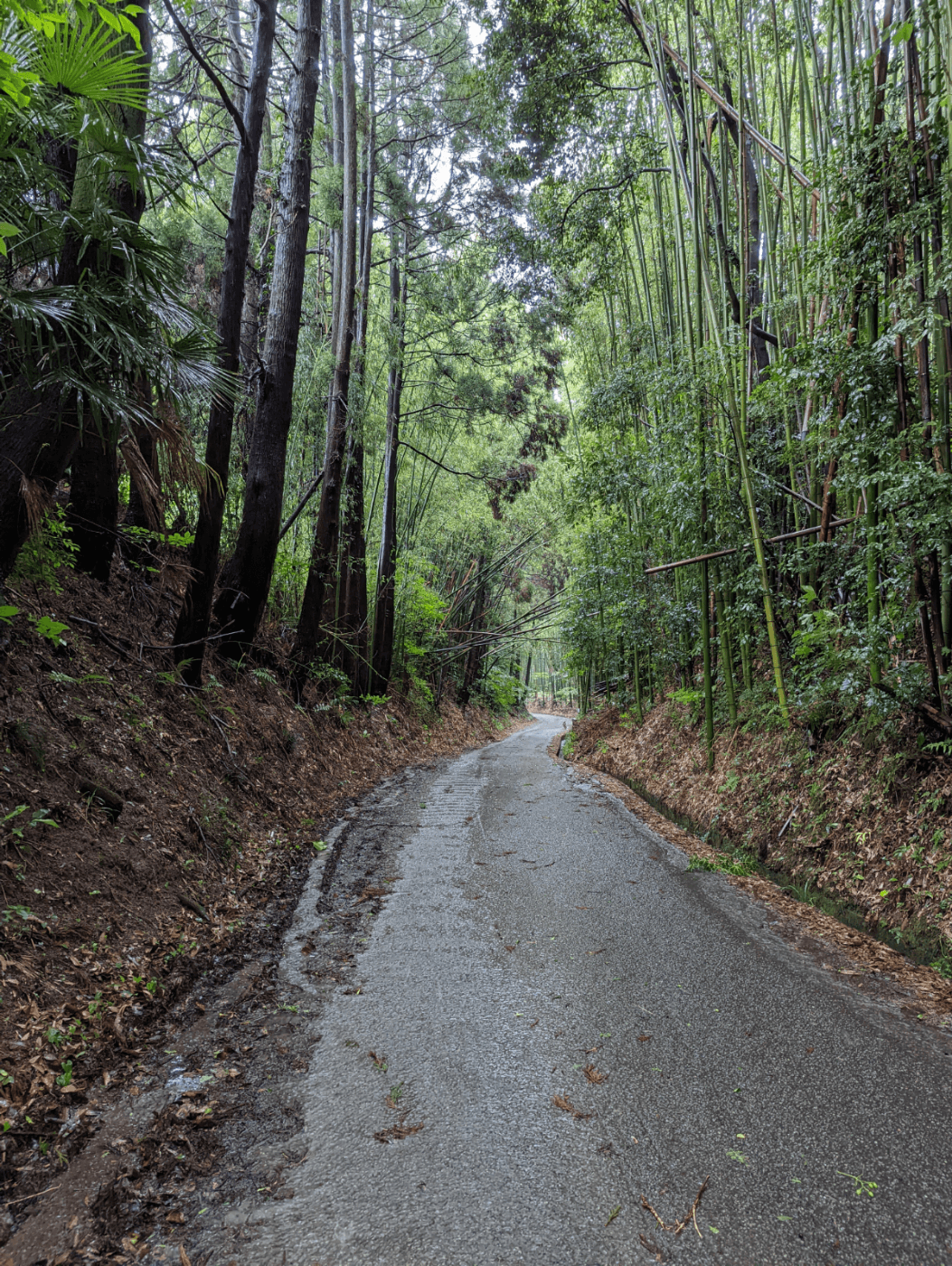 田原坂の凹道