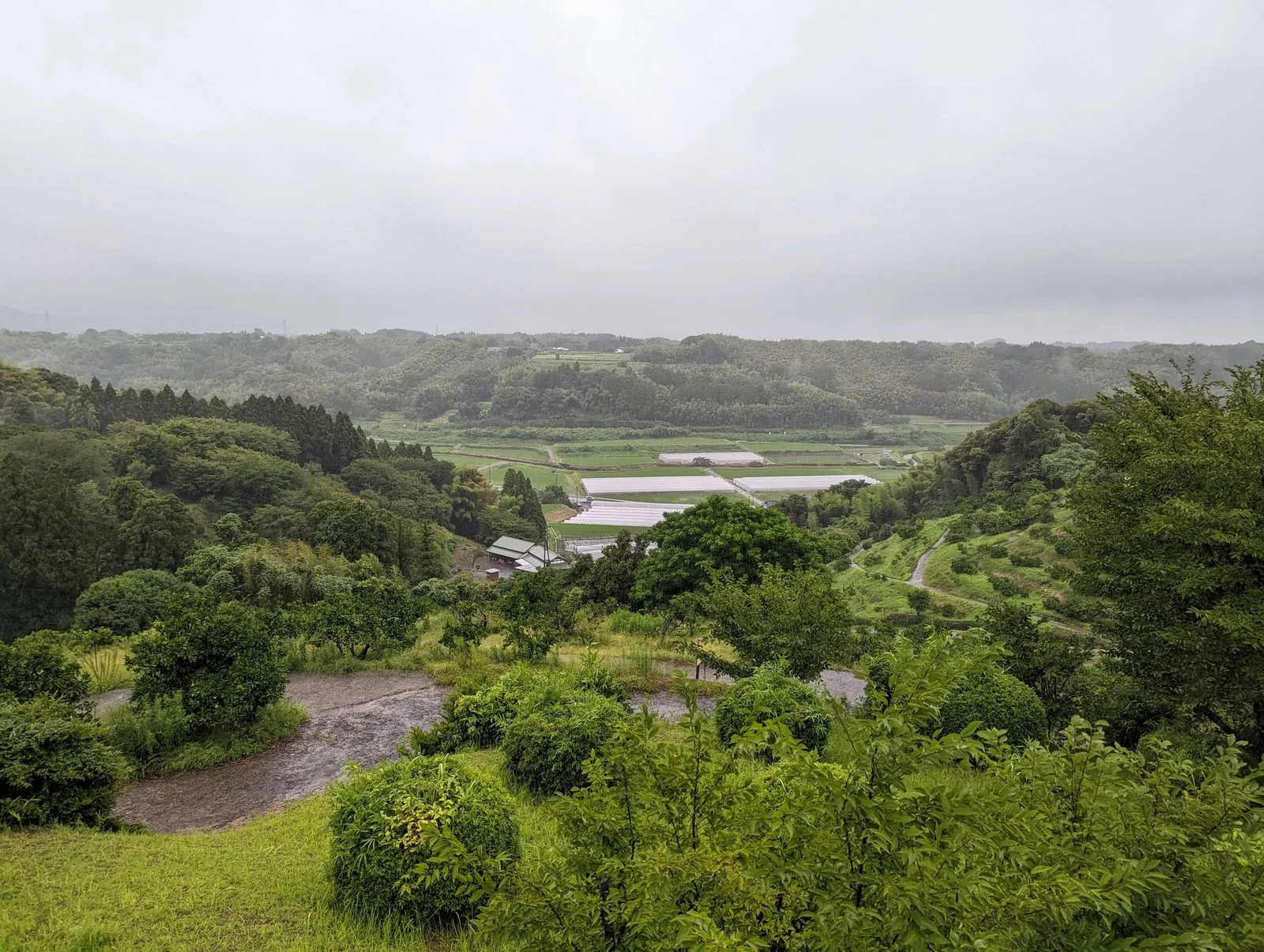 田原坂資料館からの風景